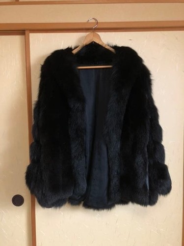 Saga fox royal - saga,