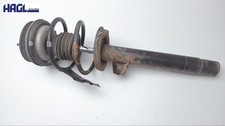 Federbein mit Stossdämpfer