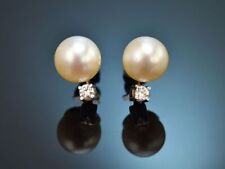 OHRRINGE MIT GROSSEN AKOYA