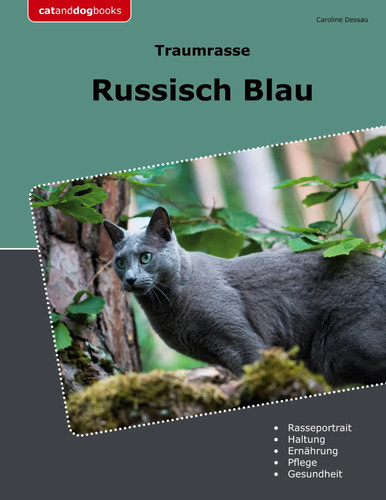 Traumrasse russisch blau - traumrasse,
