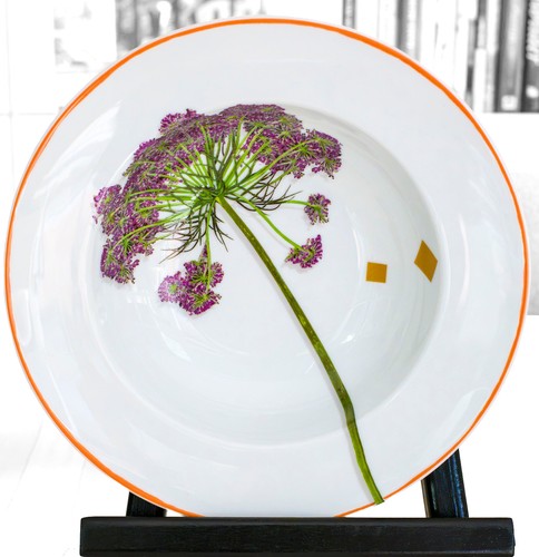 Raynaud limoges porzellan - raynaud,