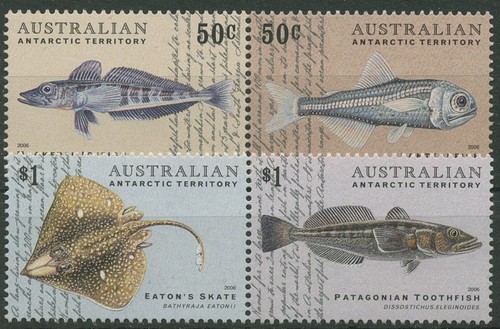 Austral antarktis 2006 fische - austral.,