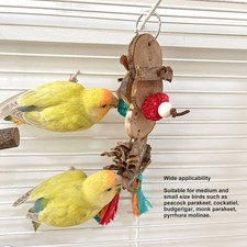 Vogel Kauen Spielzeug Vogel Beißen Spielzeug Vogel Shredding Nahrungssuche