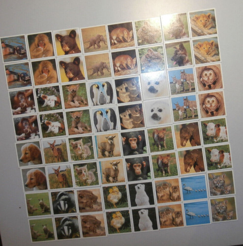 Tierkinder memory - 🎉tierkinder,