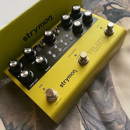 Strymon volante magnetic echo - strymon,