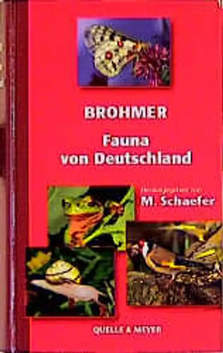 Brohmer fauna von deutschland - fauna,