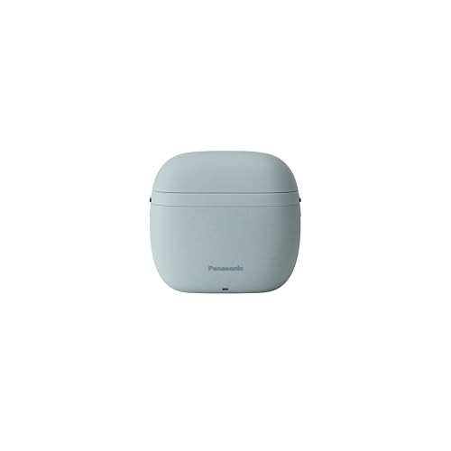 Panasonic lamdash palm lite - in,