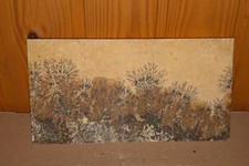 Schöne Platte mit Eisen-Dendriten aus dem Plattenkalk Solnhofen (4)