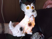 Alter Rauchverzehrer  Terrier schwarz-weiß mit Elekrick