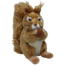 SEMO Hübsches Eichhörnchen