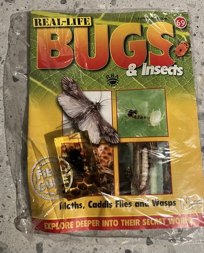 Real life bugs - real, moths