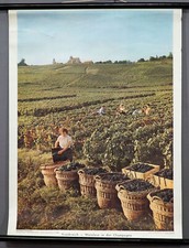 Rollkarte Wandbild Frankreich Weinlese Ernte Champagne Landschaft Landhausstil