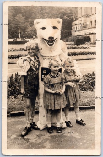 Mann eisbär kostüm - eisbär,