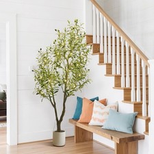 Olivenbaum Künstlich