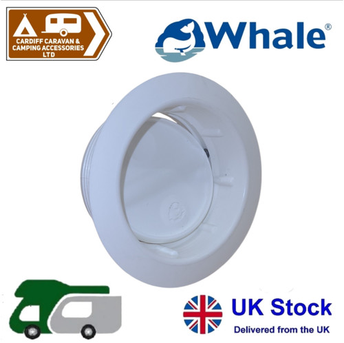Whale truma - whale,