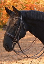 Otto schumacher kandare black - schumacher,