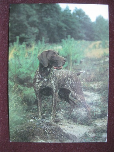 Ansichtskarte postkarte ddr - ansichtskarte,