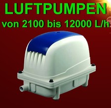 Verschiedene aquarium teich - verschiedene,