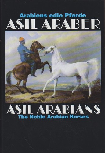 Asil araber arabiens edle - araber, iv
