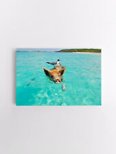 Wandbilder Strand Meer Ozean Ferkel Leinwanbild Natur Leinwand Bild XXL