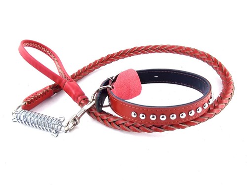 Set leine halsband gr - leine, +