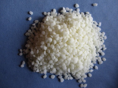 100 reines bio bienen - kg, 100%