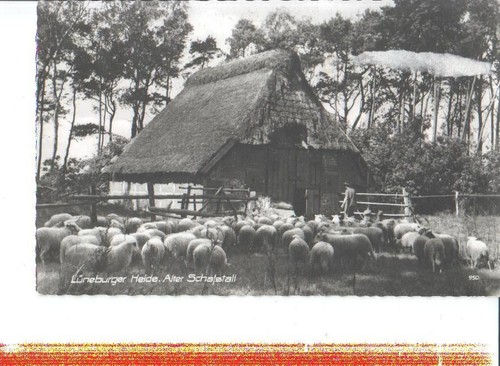 Lüneburger heide alter - lüneburger,