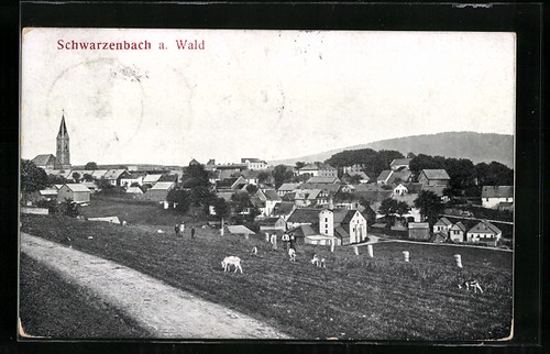 Schwarzenbach wald - a.,