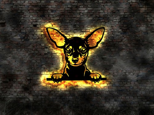 Miniatur mini pinscher - mini,