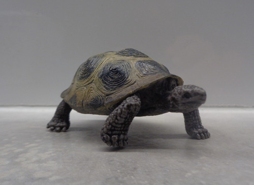 Schleich schildkröte - schleich,