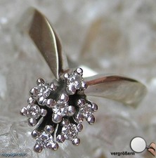 Ring mit Diamanten Brillanten