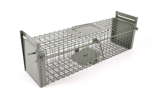 Tierfalle rattenfalle - 60,