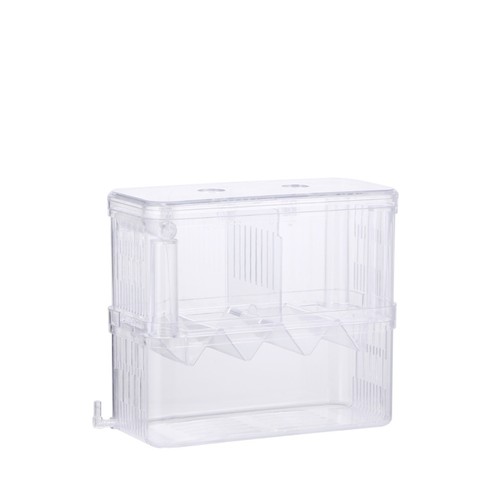 Fischzuchtbox fische - fischzuchtbox,