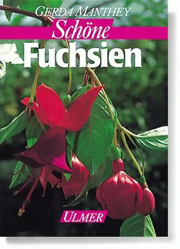 Schöne fuchsien - schöne,