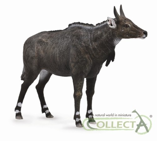 Collecta 88764 nilgauantilope - collecta,