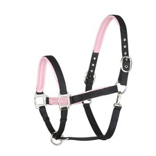 BergReiter Trendy Halfter Rot