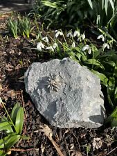 Bronze Edelweiß Silber