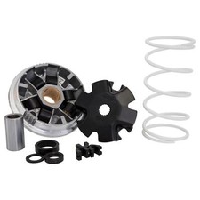 Variomatik Malossi Multivar