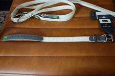 Halsband+ Leine REFLEKTIEREND