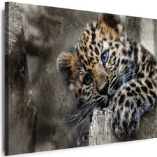 WANDBILDER Leopard Tiere Natur