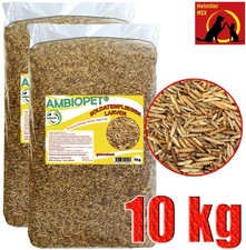 Hermetia Soldatenfliegenlarven 10 kg wie Mehlwürmer Black Soldier Fly Koi Vögel