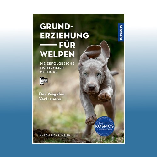 Grunderziehung für welpen - welpen, |