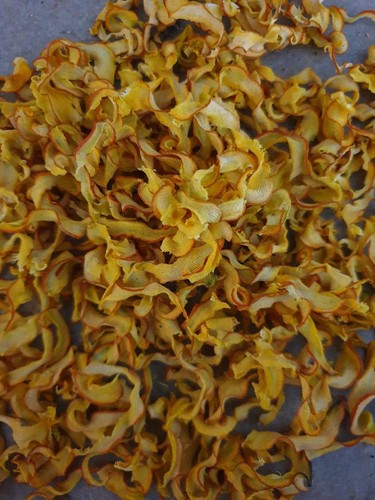 Hokkaido kürbis chips - kürbis,