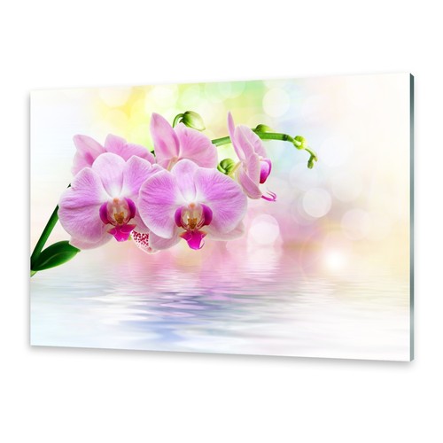 Acrylglasbilder wandbild aus - acrylglasbilder,