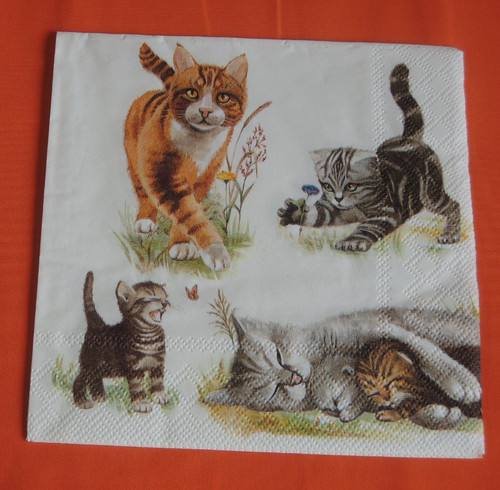 Lose servietten katzen - lose,