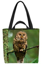 Waldkauz Uhu Vogel Tier Wald