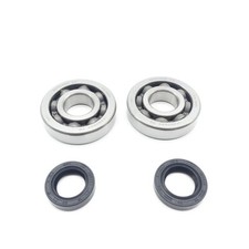 Kurbelwellenlager Satz +