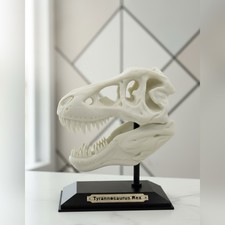 T-Rex Skull Dinosaurier