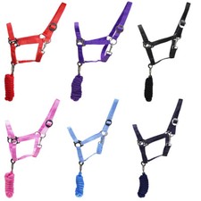 Sport set nylon halfter und - halfter,