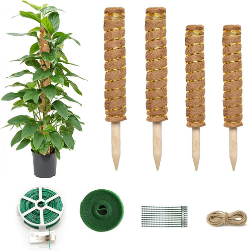 Monstera rankhilfe stück - monstera, 4